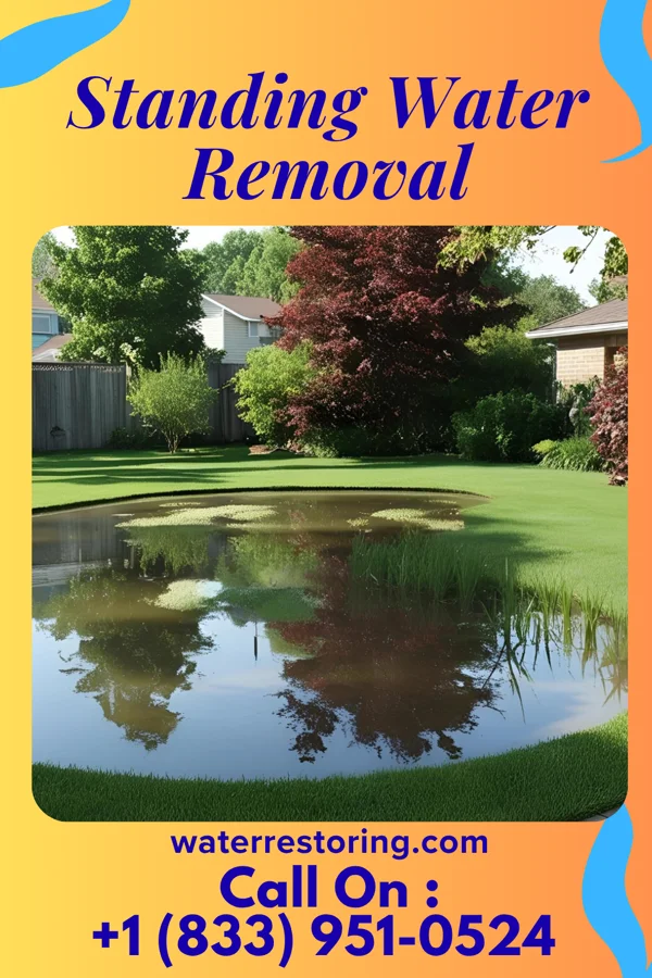 Standing Water Removal in Datto, AR